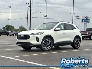 2025 Ford Escape Hybrid for sale in Alton IL