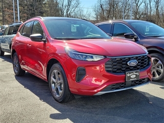 2024 Ford Escape for sale in Honesdale PA