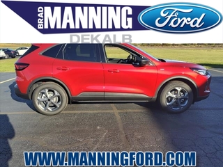 2025 Ford Escape for sale in Des Plaines IL