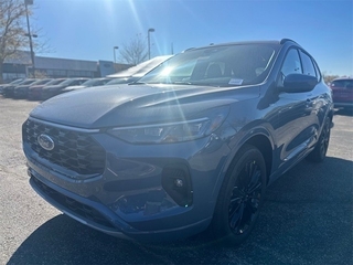 2025 Ford Escape for sale in Louisville KY