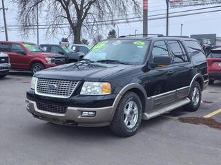 2004 Ford Expedition for sale in Woodhaven MI