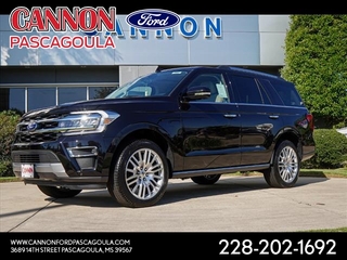 2024 Ford Expedition for sale in Orange TX