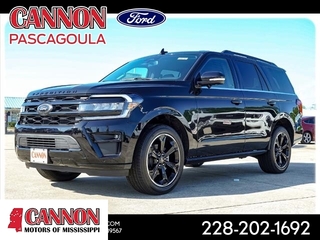 2023 Ford Expedition for sale in Orange TX