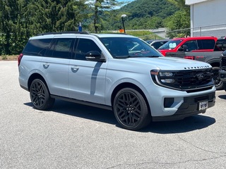 2026 Ford Expedition for sale in Canton NC