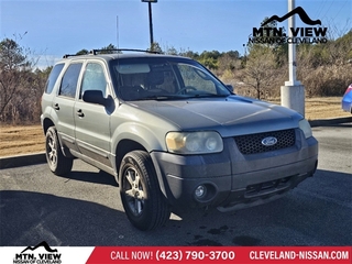 2006 Ford Escape for sale in Mcdonald TN