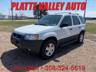 2004 Ford Escape for sale in Lexington NE