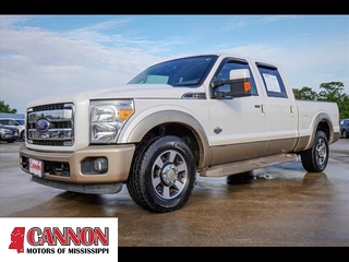 2014 Ford F-250 Super Duty for sale in Orange TX