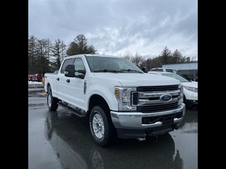 2019 Ford F-250 Super Duty for sale in Bristol TN