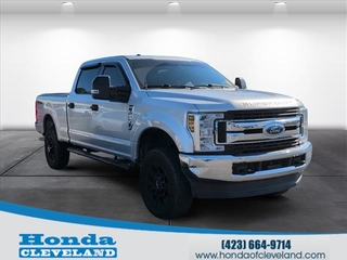 2018 Ford F-250 Super Duty for sale in Cleveland TN