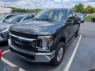 2019 Ford F-250 Super Duty for sale in Kingsport TN