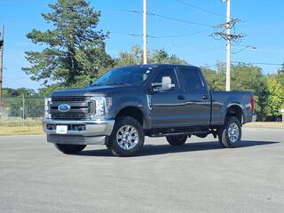 2019 Ford F-250 Super Duty for sale in Alton IL