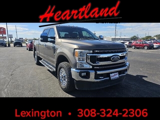 2020 Ford F-250 Super Duty for sale in Lexington NE