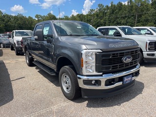 2025 Ford F-250 Super Duty for sale in Dothan AL