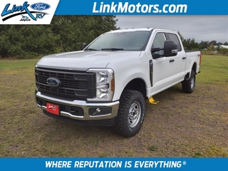 2024 Ford F-250 Super Duty for sale in Minong WI