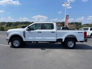 2024 Ford F-250 Super Duty for sale in Dandridge TN