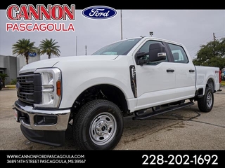 2024 Ford F-250 Super Duty for sale in Orange TX