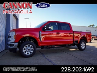 2024 Ford F-250 Super Duty for sale in Orange TX