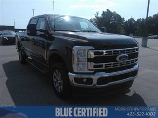 2024 Ford F-250 Super Duty for sale in Morristown TN