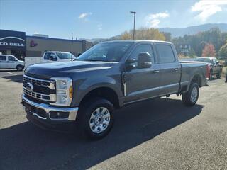 2024 Ford F-250 Super Duty for sale in Pounding Mill VA