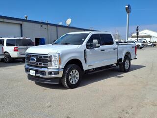 2024 Ford F-250 Super Duty for sale in Wellington KS
