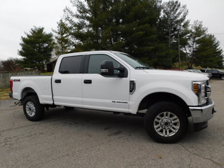 2019 Ford F-250 Super Duty for sale in Clarksville TN