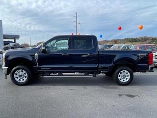 2024 Ford F-250 Super Duty for sale in Dandridge TN