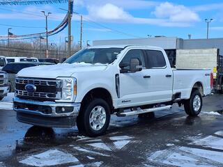 2025 Ford F-250 Super Duty for sale in Woodhaven MI