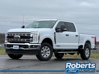 2024 Ford F-250 Super Duty for sale in Alton IL