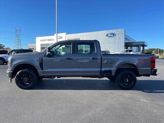 2024 Ford F-250 Super Duty for sale in Dandridge TN