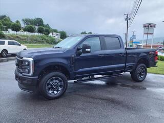 2024 Ford F-250 Super Duty for sale in Pounding Mill VA