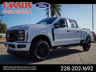 2024 Ford F-250 Super Duty for sale in Orange TX