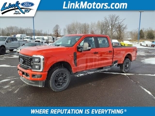 2024 Ford F-250 Super Duty for sale in Rice Lake WI