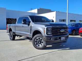 2023 Ford F-250 Super Duty for sale in Spring TX