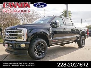 2024 Ford F-250 Super Duty for sale in Orange TX