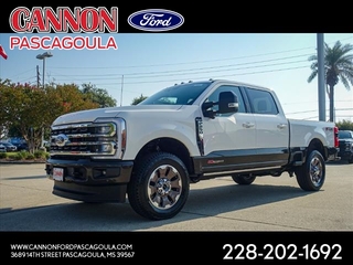 2024 Ford F-250 Super Duty for sale in Orange TX