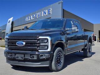 2025 Ford F-250 Super Duty for sale in Grapevine TX