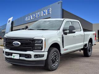 2025 Ford F-250 Super Duty for sale in Grapevine TX
