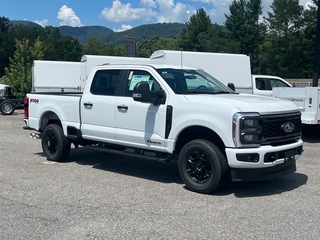 2025 Ford F-250 Super Duty for sale in Canton NC