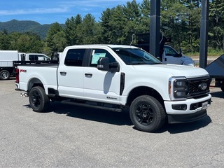 2025 Ford F-250 Super Duty for sale in Canton NC
