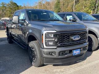 2025 Ford F-250 Super Duty for sale in Dothan AL