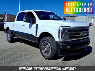 2025 Ford F-250 Super Duty for sale in Mouundsville WV