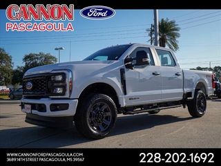 2024 Ford F-250 Super Duty for sale in Orange TX