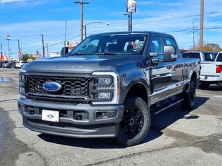 2025 Ford F-250SD for sale in Port Arthur TX