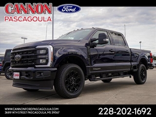 2024 Ford F-250 Super Duty for sale in Orange TX