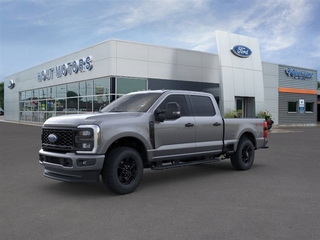 2024 Ford F-350 Super Duty for sale in Cokato MN