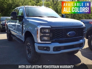 2024 Ford F-350 Super Duty for sale in Mouundsville WV