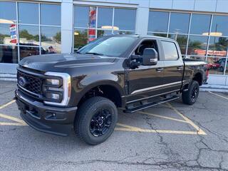 2024 Ford F-350 Super Duty for sale in Fredonia NY