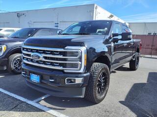 2023 Ford F-350 Super Duty for sale in Hayward WI