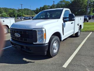 2023 Ford F-250 Super Duty for sale in Malvern AR