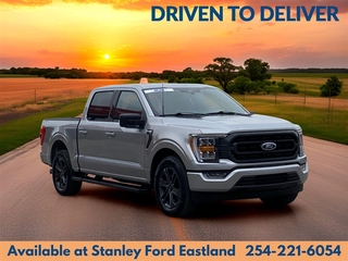 2023 Ford F-150 for sale in Dallas TX